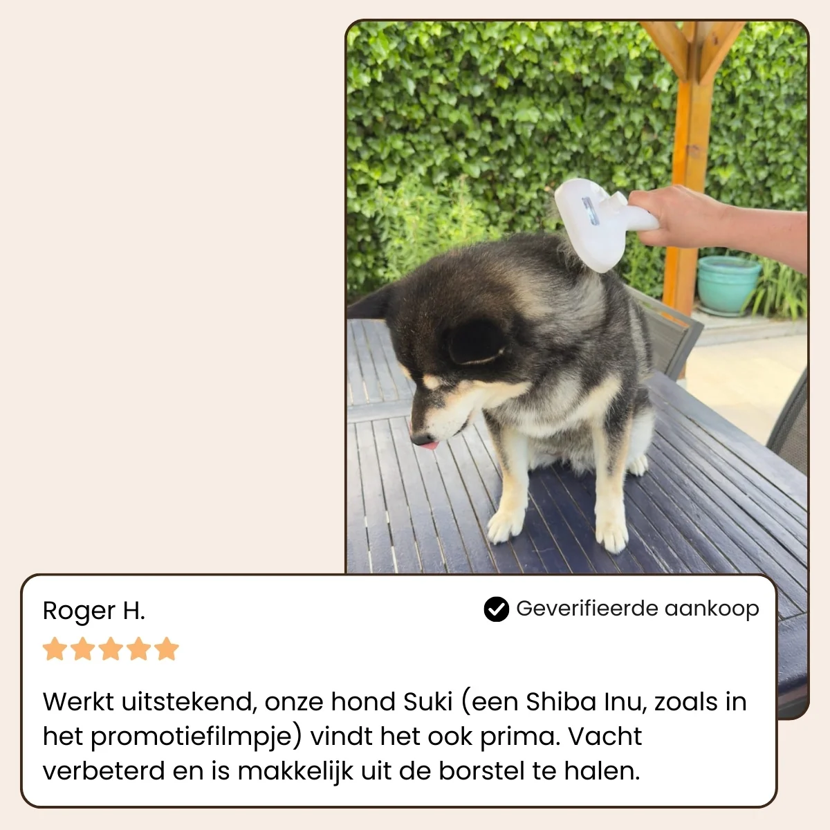 CharmPaws Steami Pro professional coat grooming brush for pets, shown in a testimonial image.