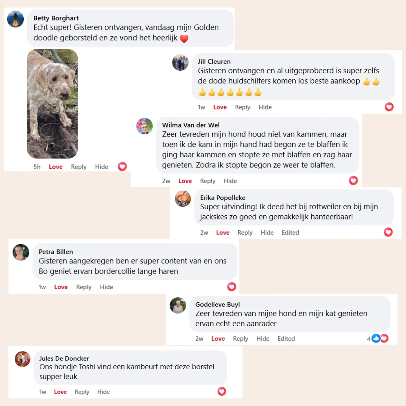 CharmPaws Steami Pro professional pet coat grooming brush shown in a testimonial image, highlighting its grooming effectiveness.