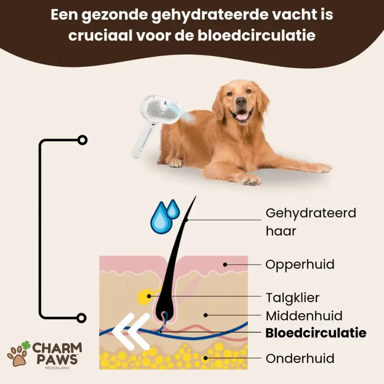 CharmPaws Steami Pro professional coat grooming brush for pets, showcasing its ergonomic design and bristles for effective grooming.