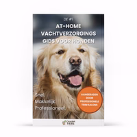 #1 At-Home Vachtverzorgings Gids Voor Honden E-book [GRATIS CADEAU🎁]