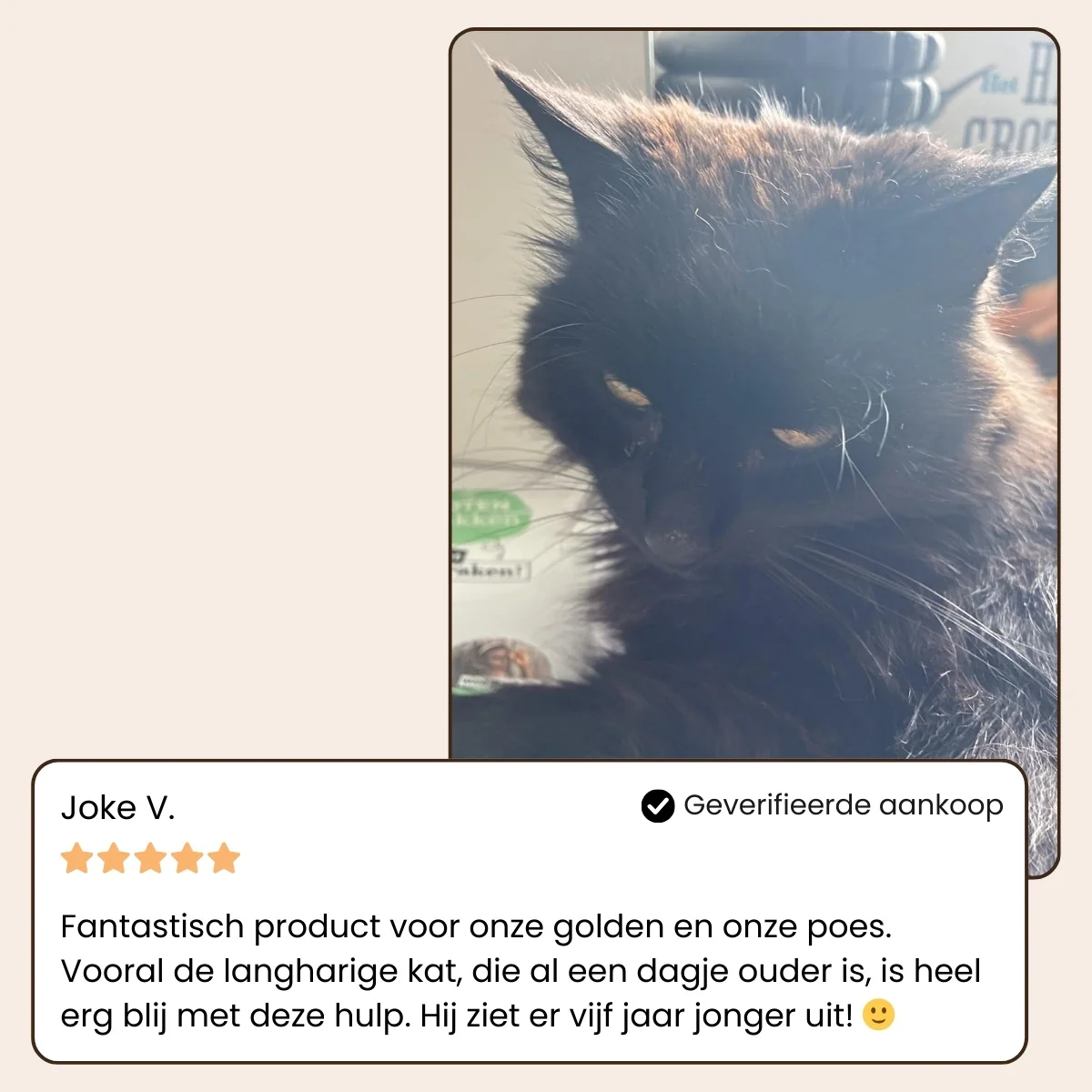 CharmPaws Steami Pro professional pet grooming brush used for grooming and deshedding pets, shown in testimonial image.