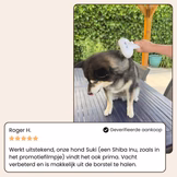 CharmPaws Steami Pro professional coat grooming brush for pets, shown in a testimonial image.