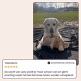 CharmPaws Steami Pro professional coat grooming brush for pets, shown in a testimonial image demonstrating its use and effectiveness.