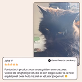 CharmPaws Steami Pro professional pet grooming brush used for grooming and deshedding pets, shown in testimonial image.