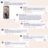 CharmPaws Steami Pro professional pet coat grooming brush shown in a testimonial image, highlighting its grooming effectiveness.